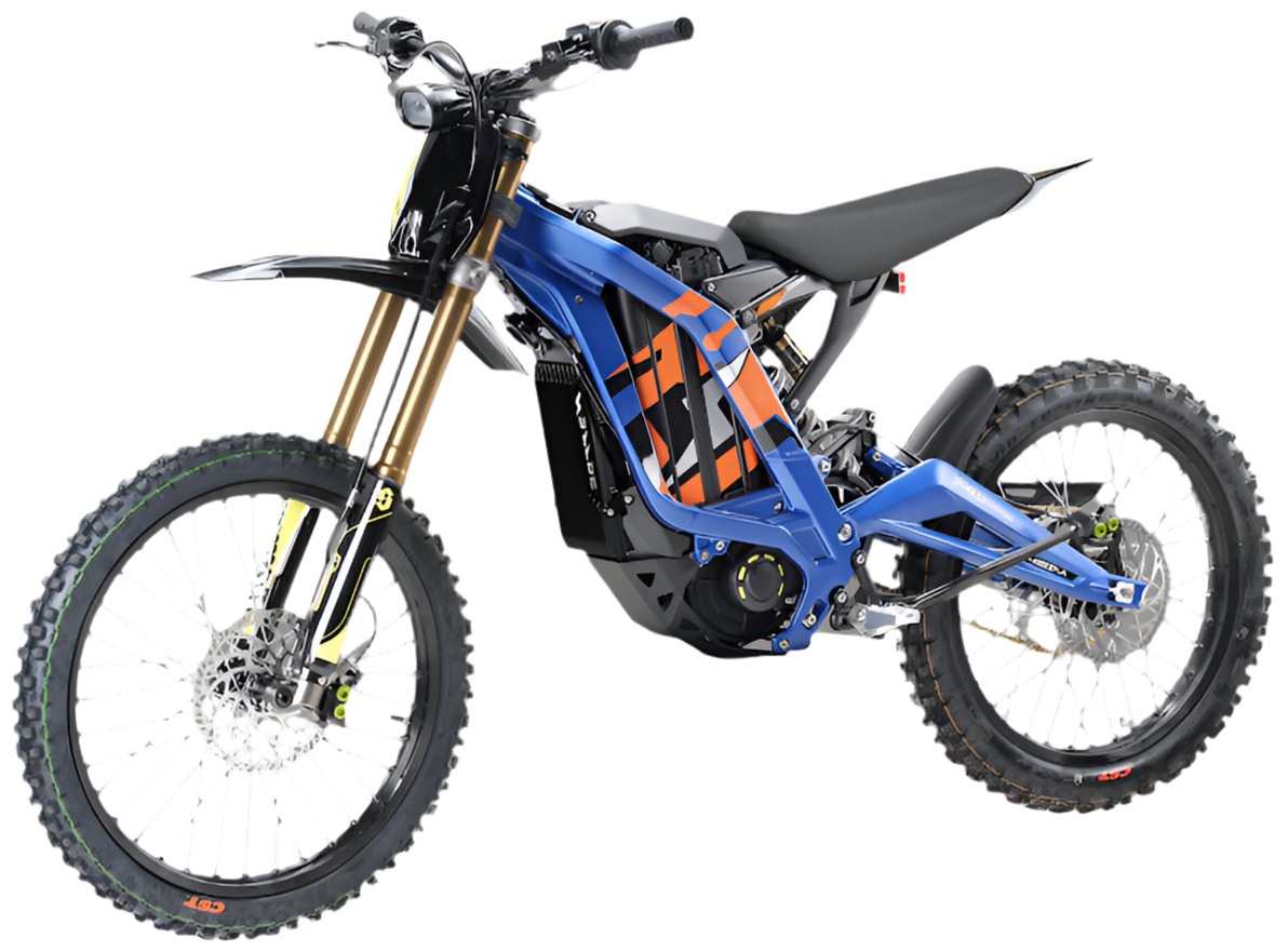 2025 LIGHT BEE
